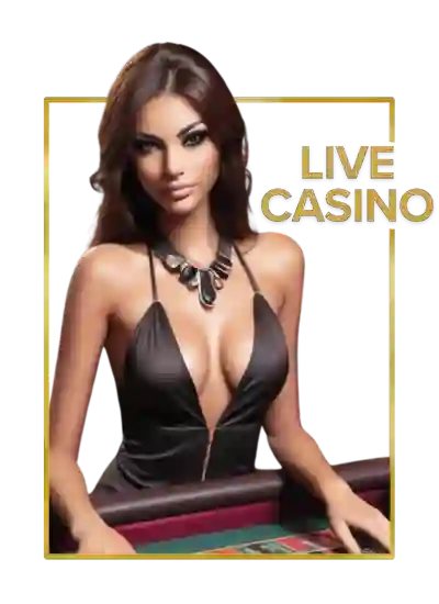 ph646 a category live casino